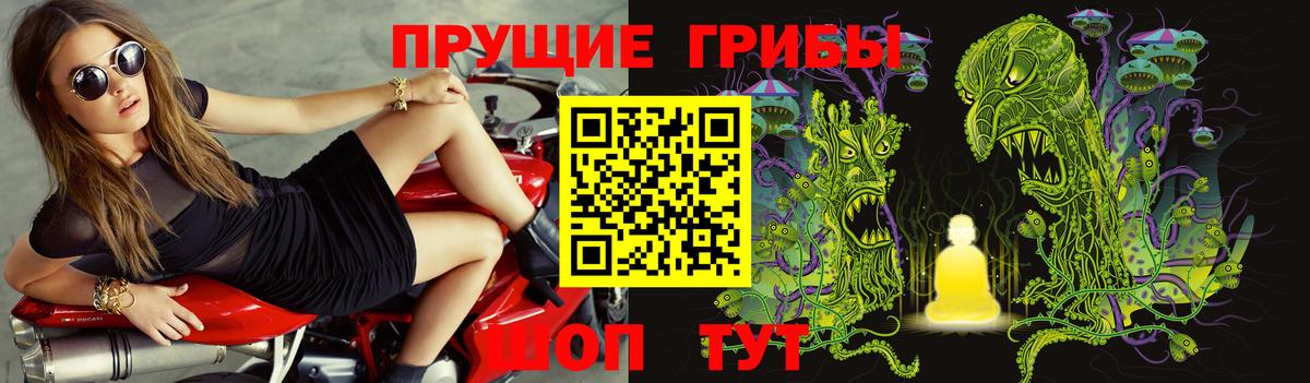 Псилоцибиновые грибы Cubensis  Вход с VPN  цена наркотик  Муром 